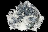 Sphalerite, Pyrite and Quartz Association - Peru #95962-5